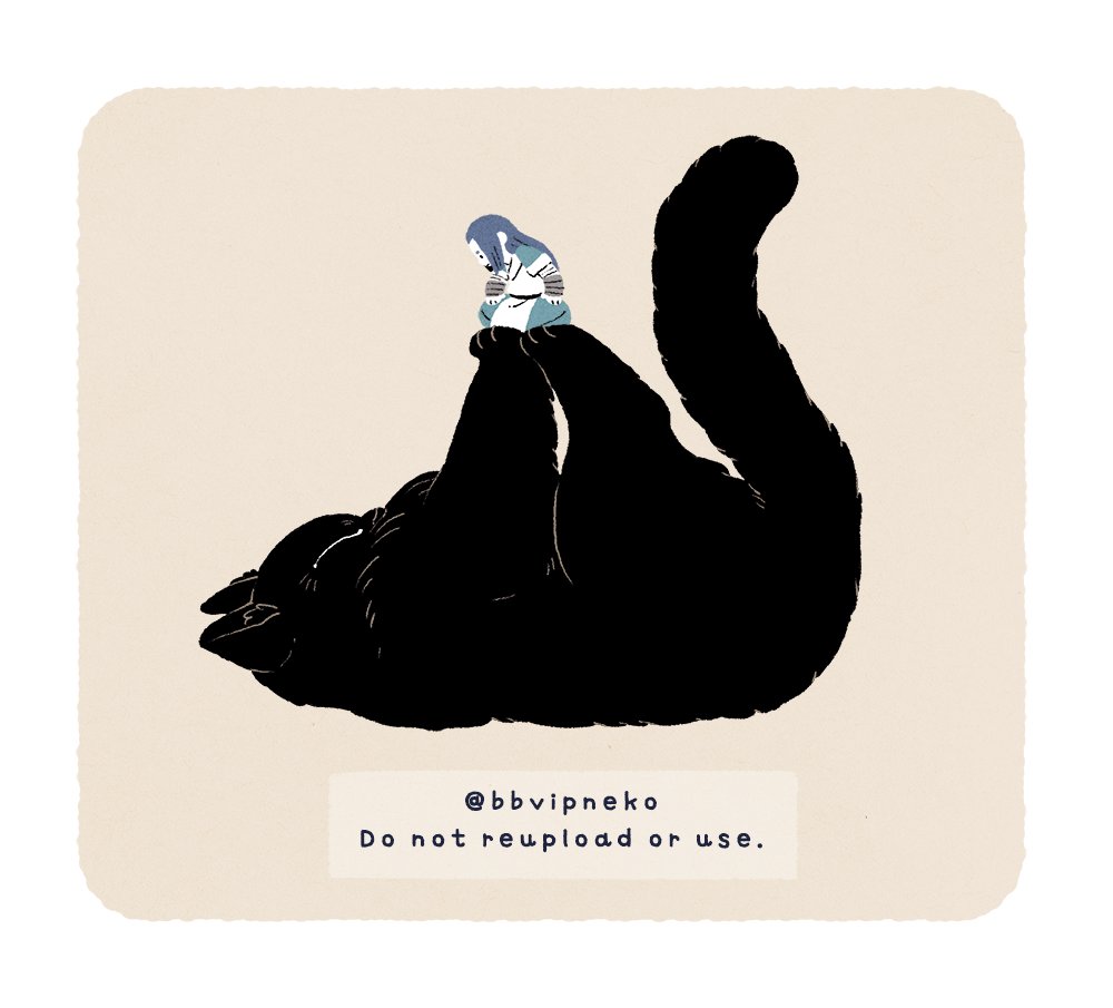 bbvipneko's tweet image. ﾃﾞｯｶｲﾈｺﾁｬﾝ🐈‍⬛（再掲）