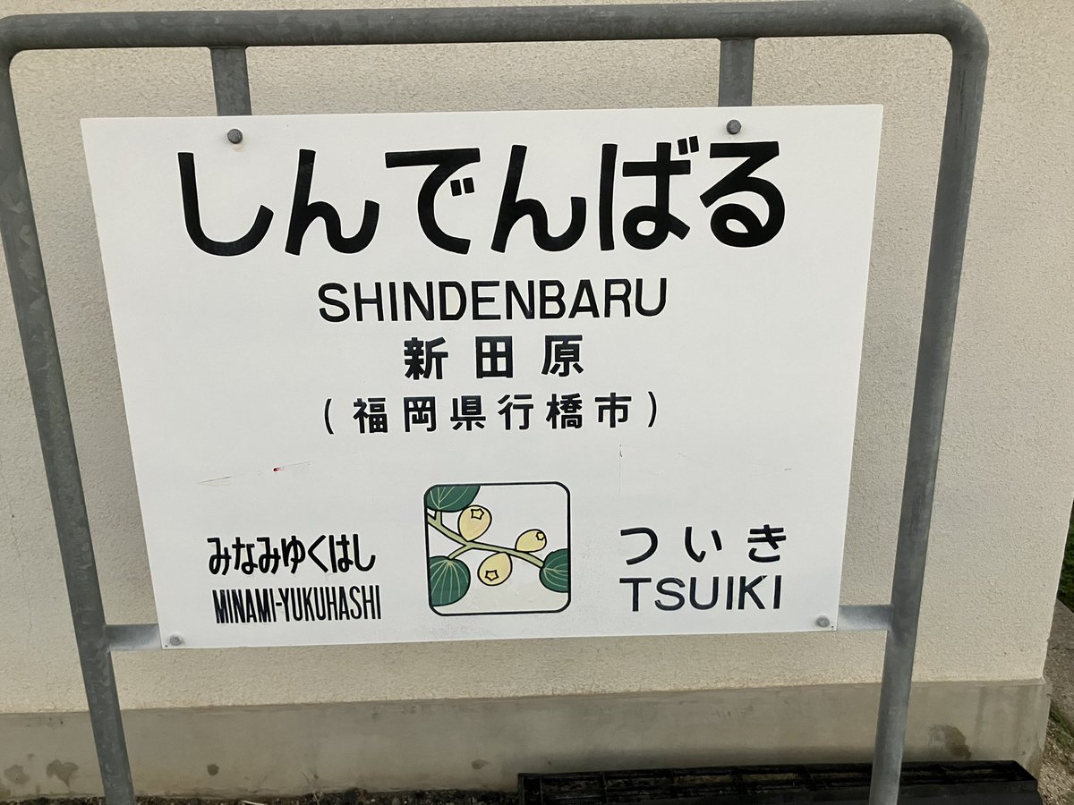 ねこすけ (@shrike01) / Posts / X