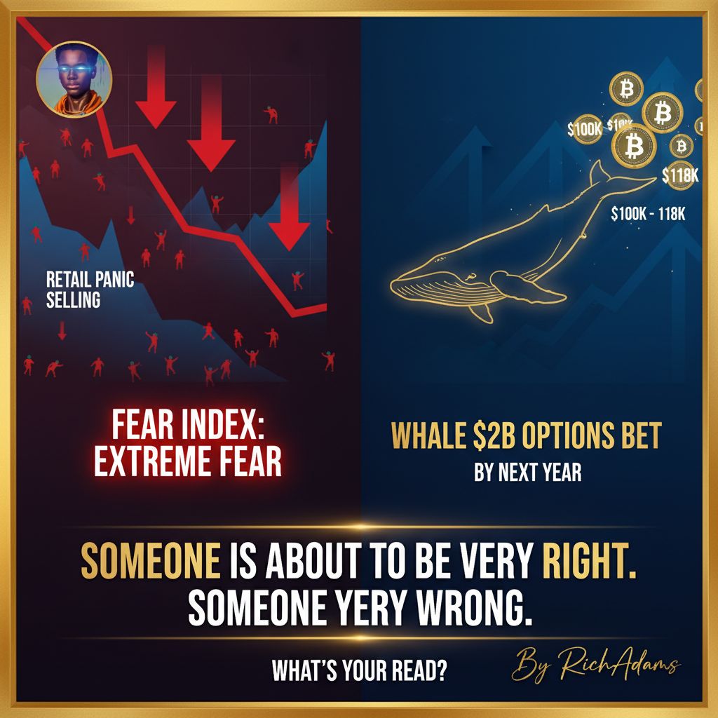 RichAdams0x's tweet image. retail is panic selling with the fear index at &apos;extreme fear&apos;.

at the same time, a whale just placed a massive $2B options bet on btc hitting the $100k-$118k range by this time next year.

someone is about to be very right, and someone is about to be very wrong. what&apos;s your read