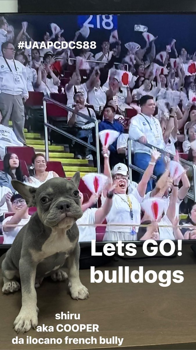 imrain_eph's tweet photo. #UAAPCDC2025 https://t.co/ICR05EzLvb