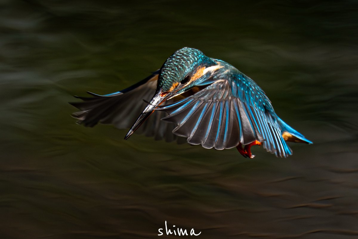 shima (@shima12041204) / Posts / X