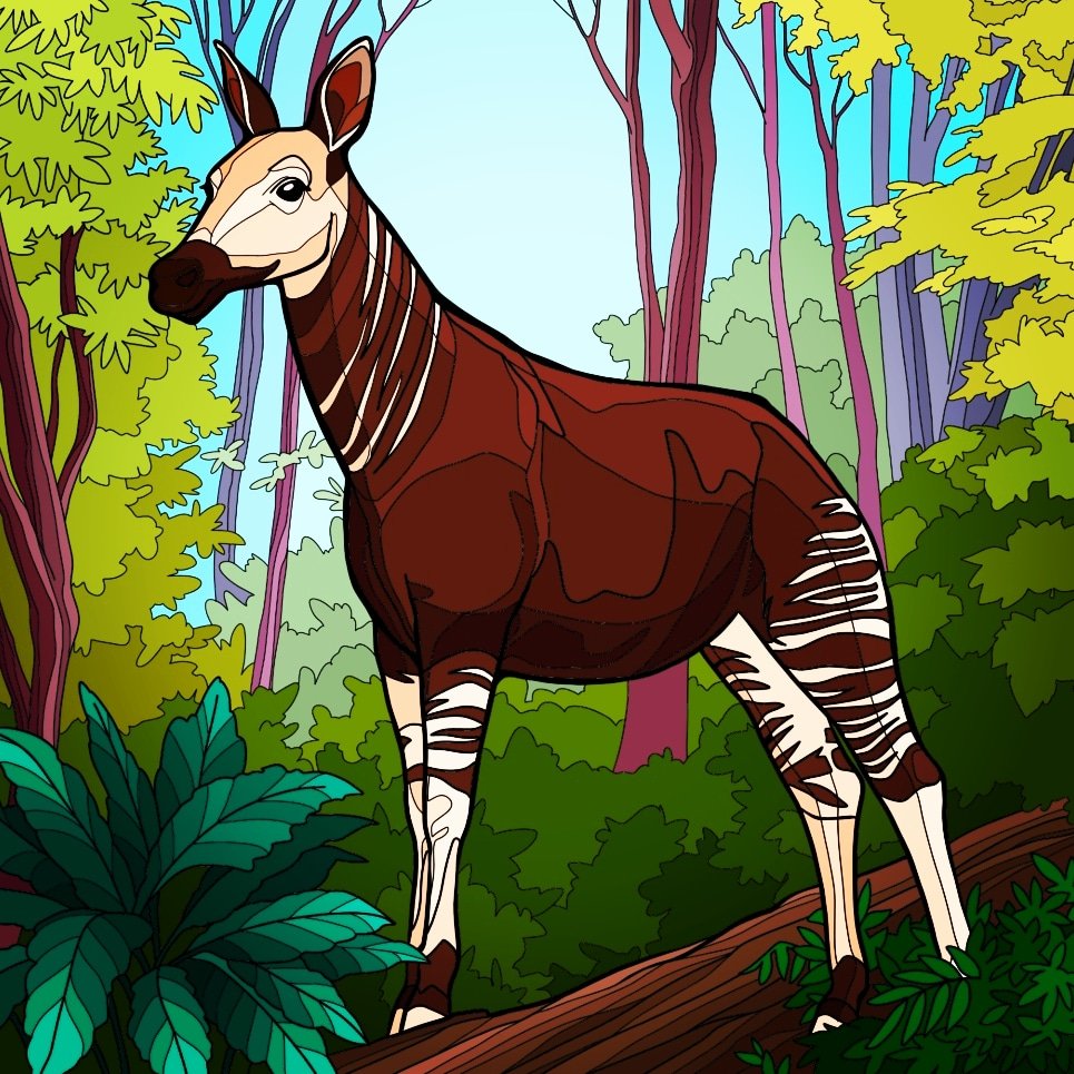 AKIMBO_888's tweet image. #AlphabetChallenge 
#vowels 

O for &quot;okapi&quot;