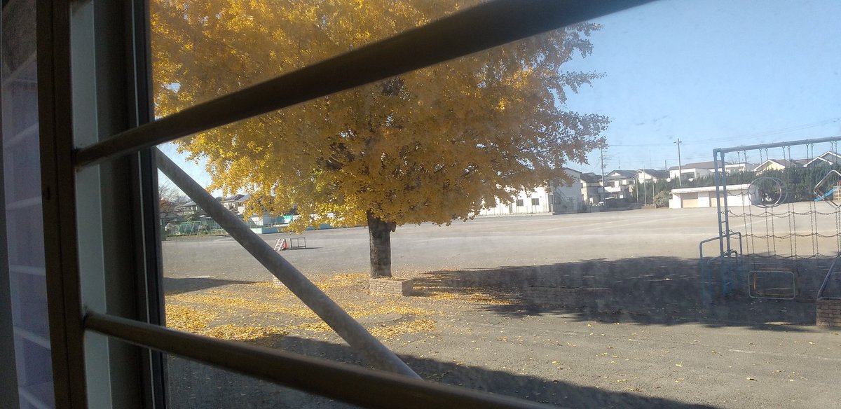 rubicks_iruma's tweet image. 本日は午後から練習🏐
久々に全員揃い10名でした👍️
いいですね〜😂
そして外のイチョウの木が綺麗です🌲
ヘッドコーチは連日の役員の仕事で胃腸が弱ってます😱
さて明日は強豪2チームとの練習試合です！
気合いいれていきましょ〜👊