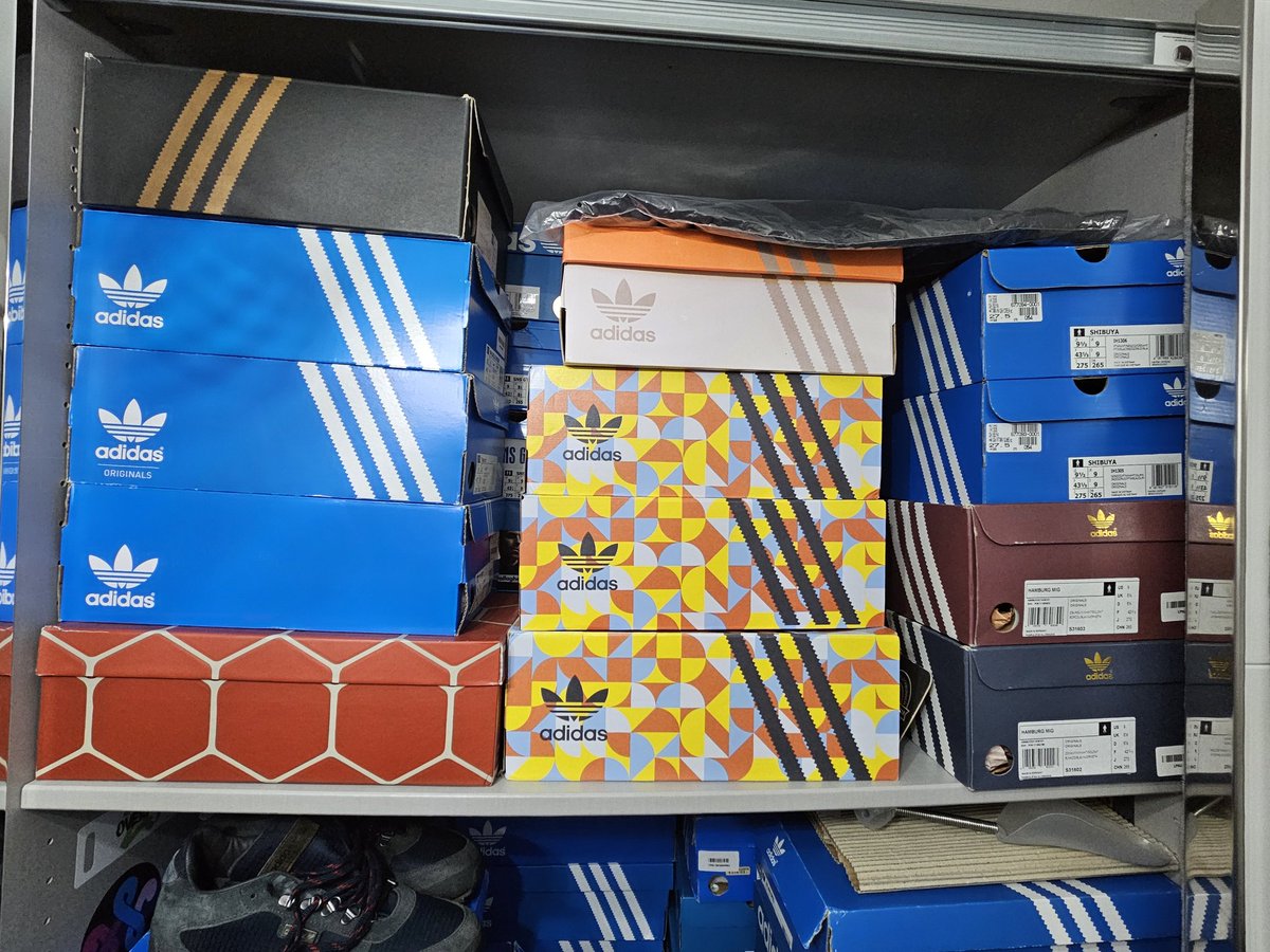 HIRDY /// tweet media