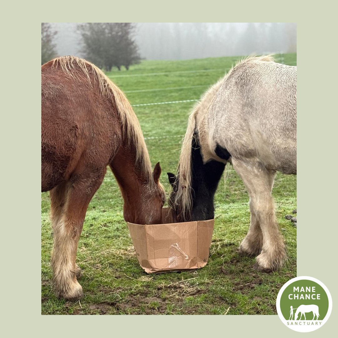 Mane Chance tweet media