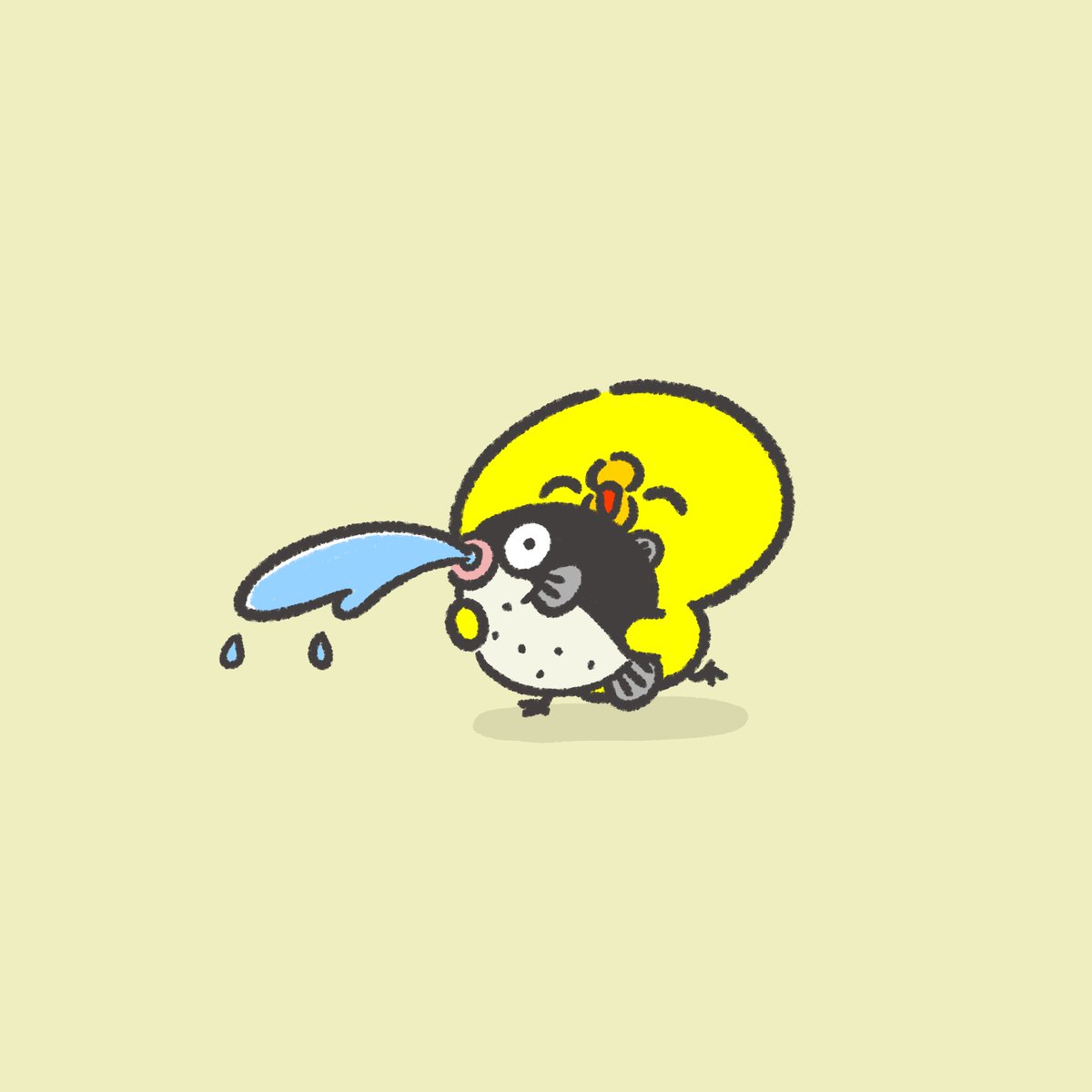 ぴよたそ (@p_i_y_o_t_a_s_o) / Highlights / X