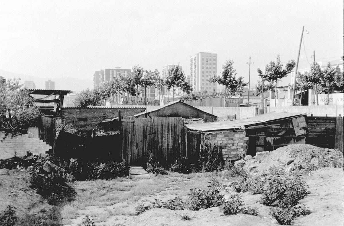 pepsanchpe's tweet image. Descampados

bit.ly/descampados-lh