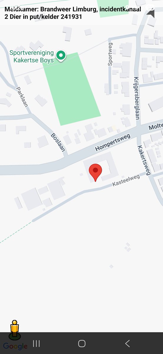 Dier in put/kelder in Landgraaf