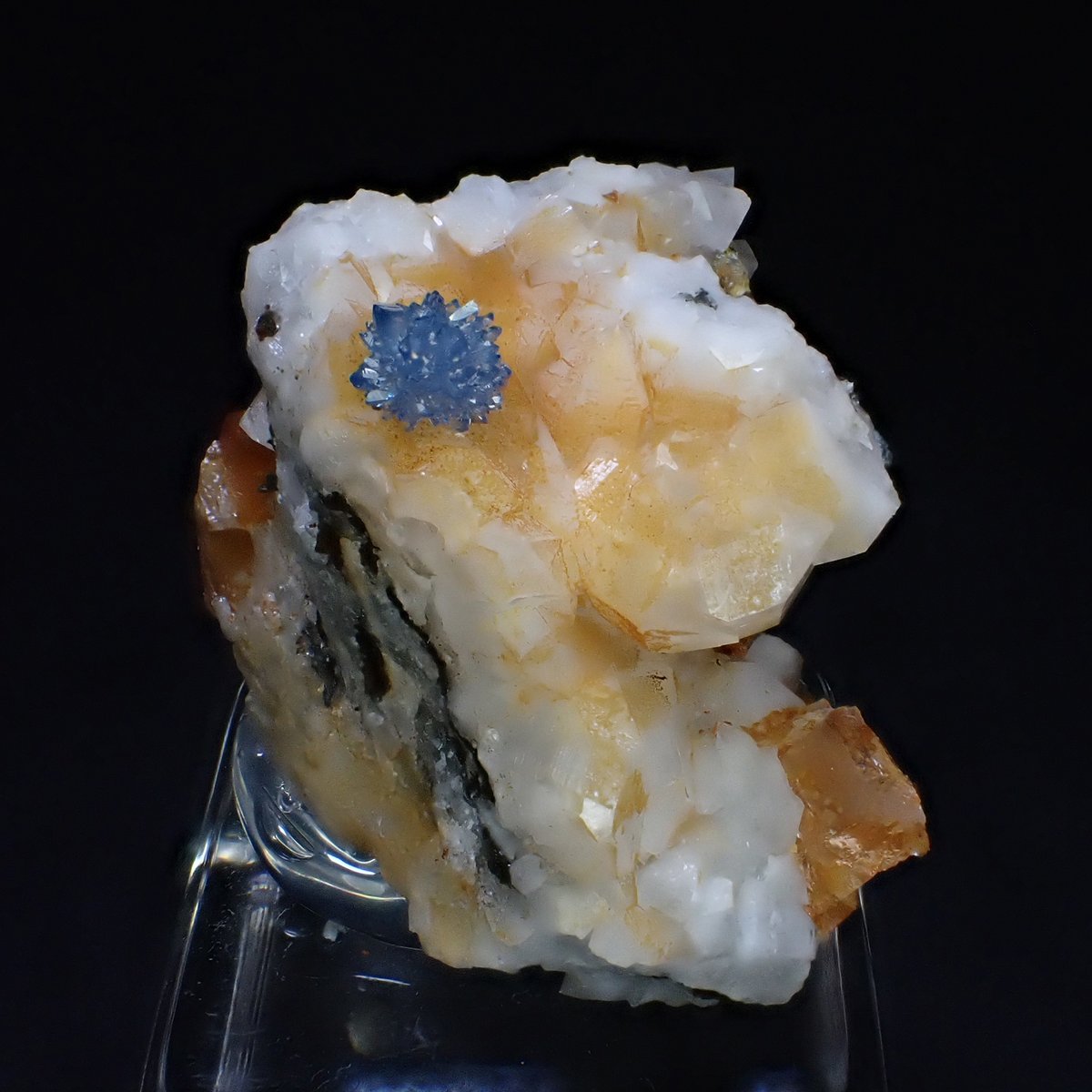 tak_collection's tweet image. Scorodite from Clara Mine
Cuprite from Rubtsovskoe Mine
TG-6 + LEDライトガイド LG-1装着、LED発光、顕微鏡モード、AF、10枚を合成

日本男児Fの行動力発動を祝して😇