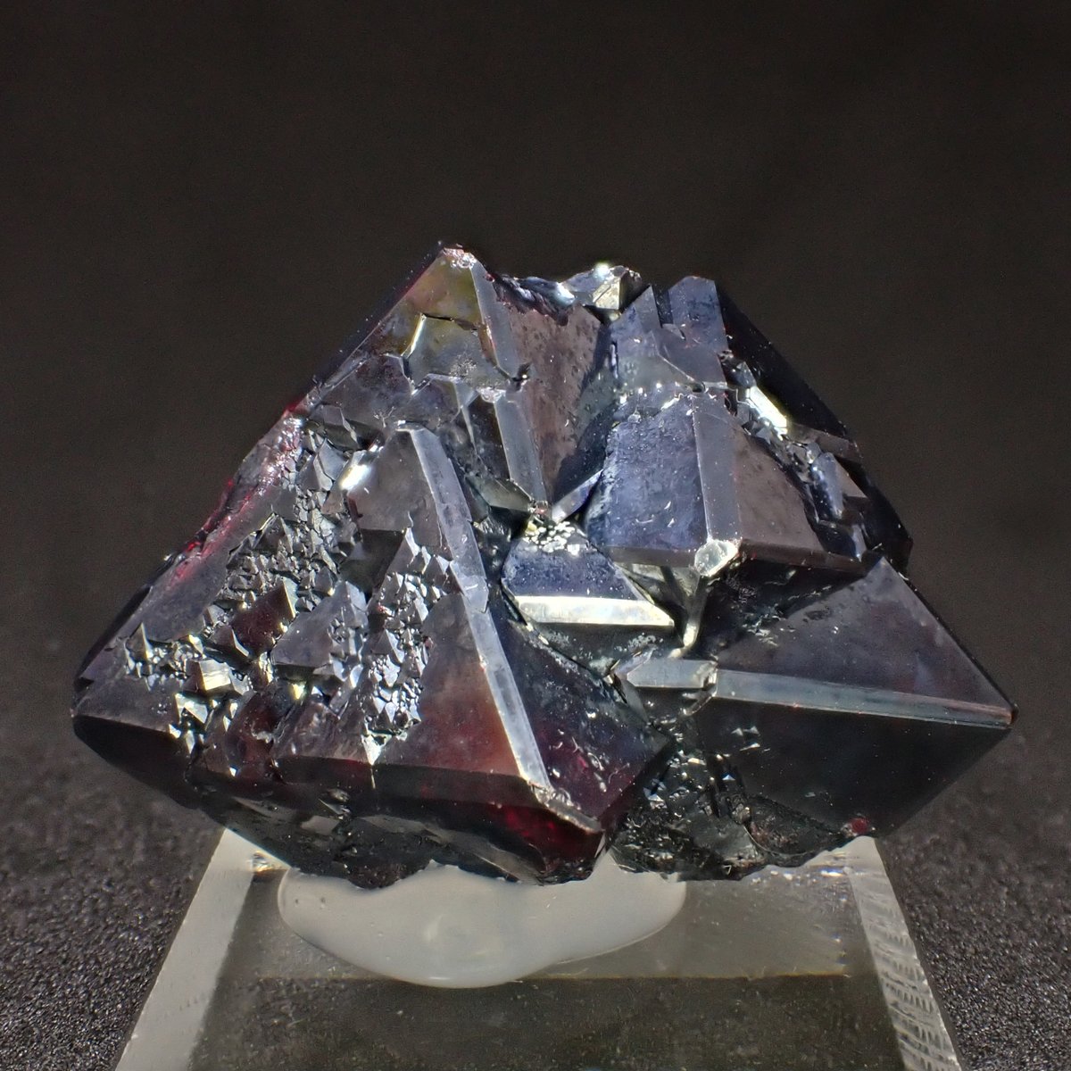 tak_collection's tweet image. Scorodite from Clara Mine
Cuprite from Rubtsovskoe Mine
TG-6 + LEDライトガイド LG-1装着、LED発光、顕微鏡モード、AF、10枚を合成

日本男児Fの行動力発動を祝して😇