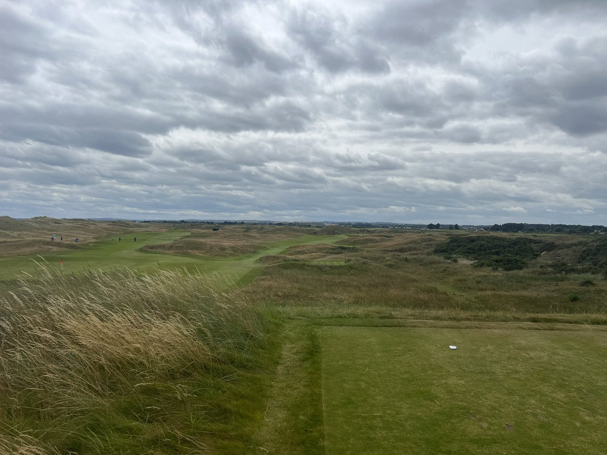 Frank Webster tweet media