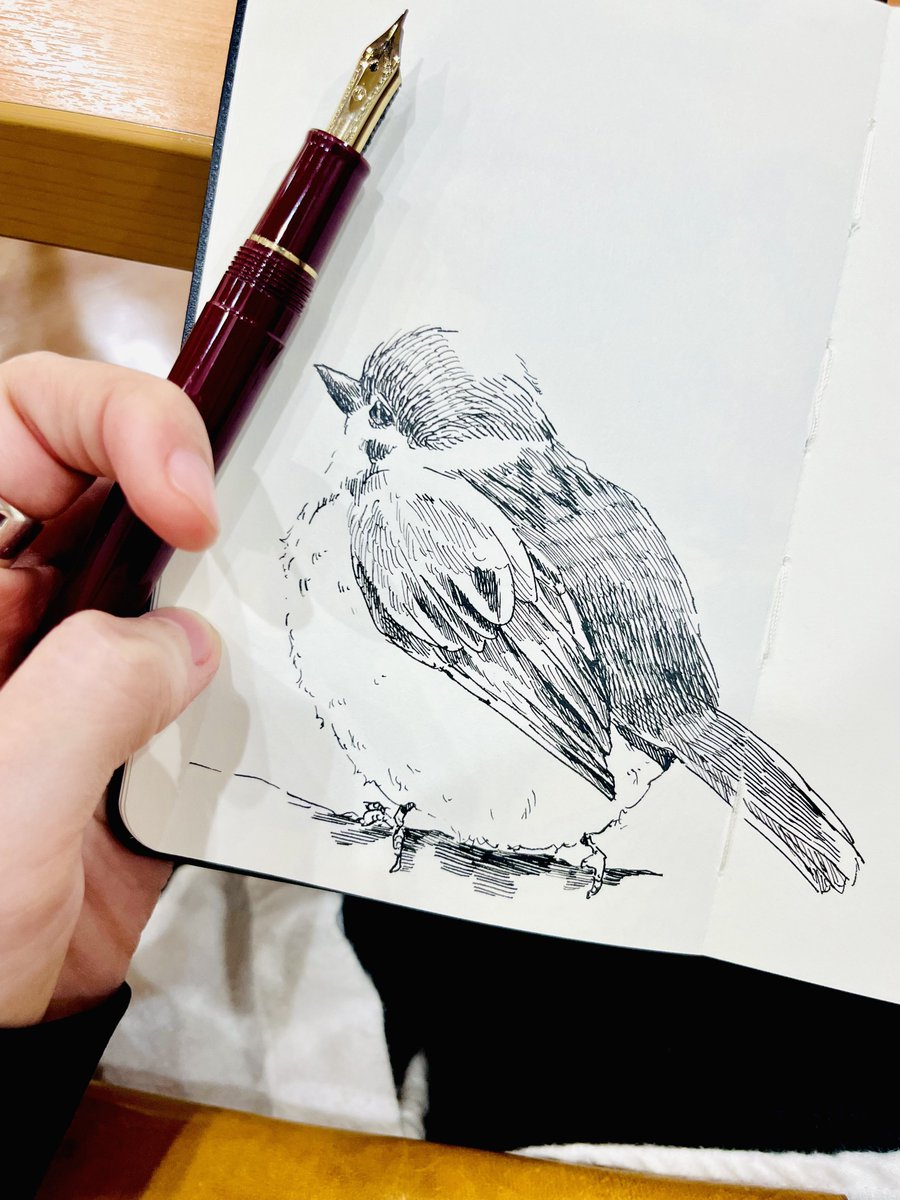 もふもふのすずめを観測。