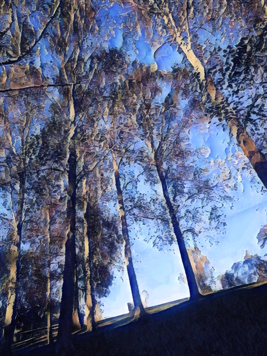 BlutosGhost's tweet photo. This forest didn’t wake up like this. It got digitally dolled up and now it’s serving textured drama #StylizedNature #SurrealForest #NatureReimagined https://t.co/Q3T0ISy7mm