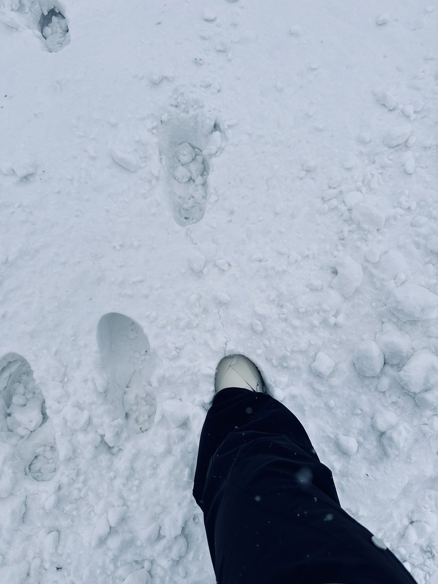 变态先生 tweet media