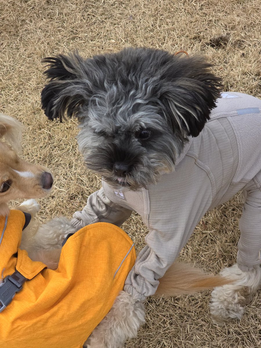 로니와 놀고싶은 글씨
(댕동장입니다)
🐶 <a href="/RAD_univ/">링고 아니 대박이 그리고 글씨와 사비</a>