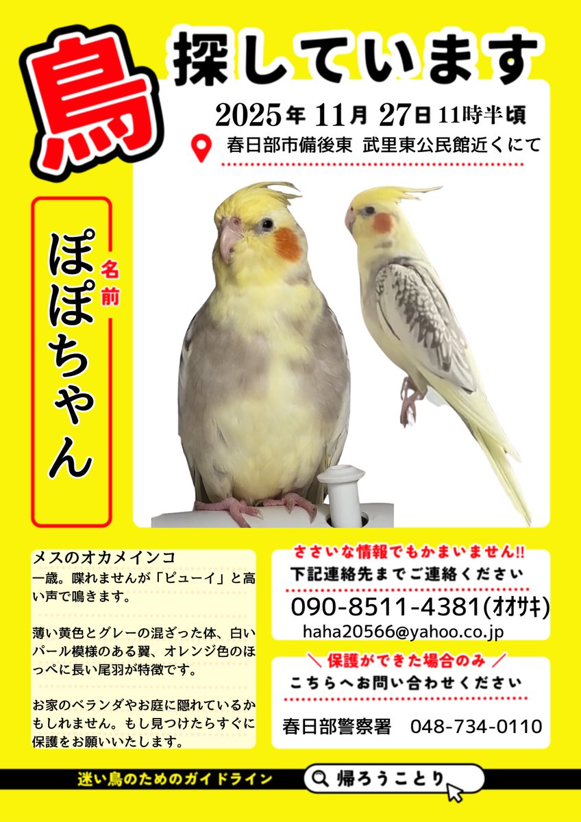 迷子 ページ 迷子