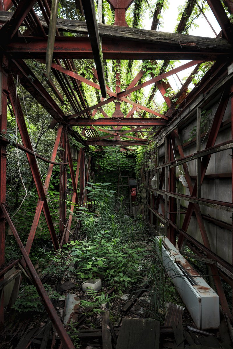 緑化した渡り廊下。