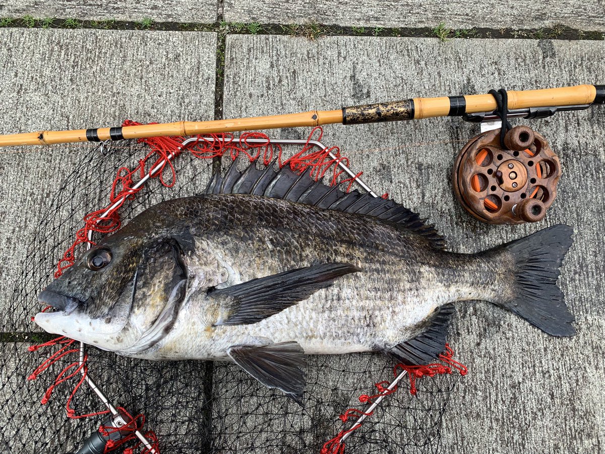 今日唯一のあたりを拾え、今年6枚目の年無しが出てくれました