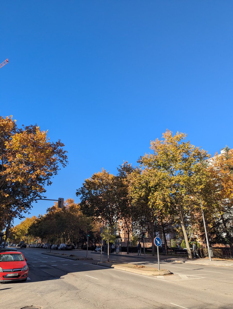 EdinburghNJS's tweet image. Glorious in #Madrid quite warm in the sunshine! 🌄