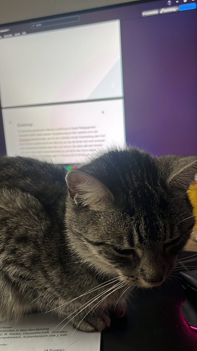 Jasminnn tweet media