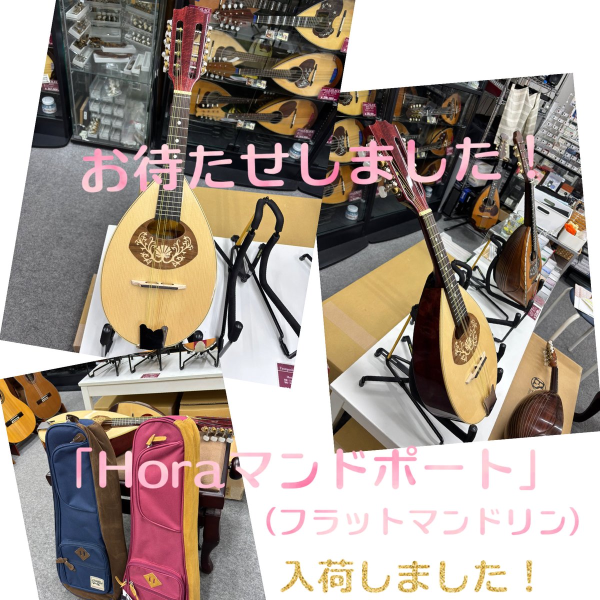 Horaマンドポート（フラットマンドリン）入荷しました！ 本体価格は