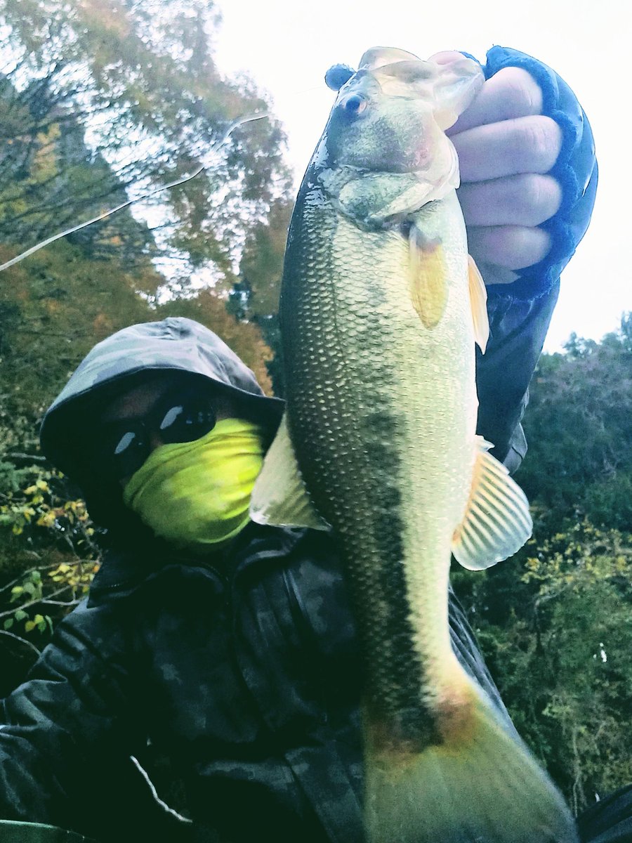 takehikobass's tweet photo. 先日の豊英は33頭で7本!
紅葉みながら楽しみました🍁
#笹ぱん会
#豊英湖つり舟センター
#SPIKIX
#JACKAL https://t.co/aMnJxUD13h