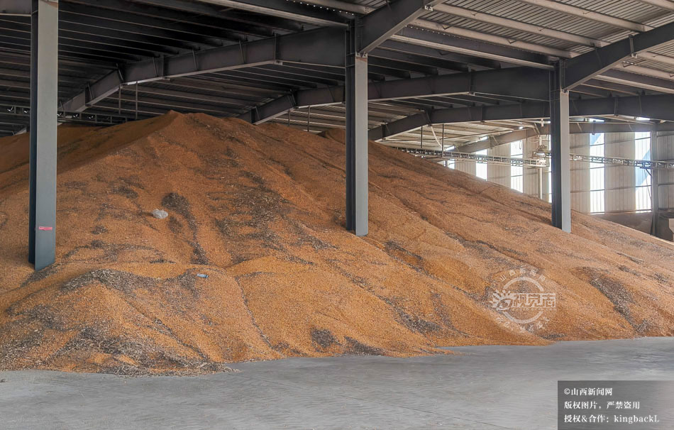 sxxww518's tweet image. 近期，在宁武县阳方口镇阳方村惠民粮食烘干购销有限公司院内，一辆辆满载玉米粒的卡车依次完成进场、过磅、倾倒、水分检测、结算等流程，
Trucks loaded with corn complete weighing, unloading, and testing procedures at a grain company. #Corn #Processing