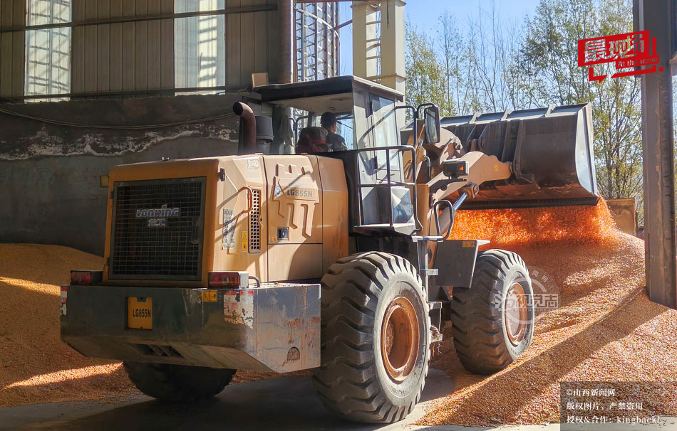 sxxww518's tweet image. 近期，在宁武县阳方口镇阳方村惠民粮食烘干购销有限公司院内，一辆辆满载玉米粒的卡车依次完成进场、过磅、倾倒、水分检测、结算等流程，
Trucks loaded with corn complete weighing, unloading, and testing procedures at a grain company. #Corn #Processing