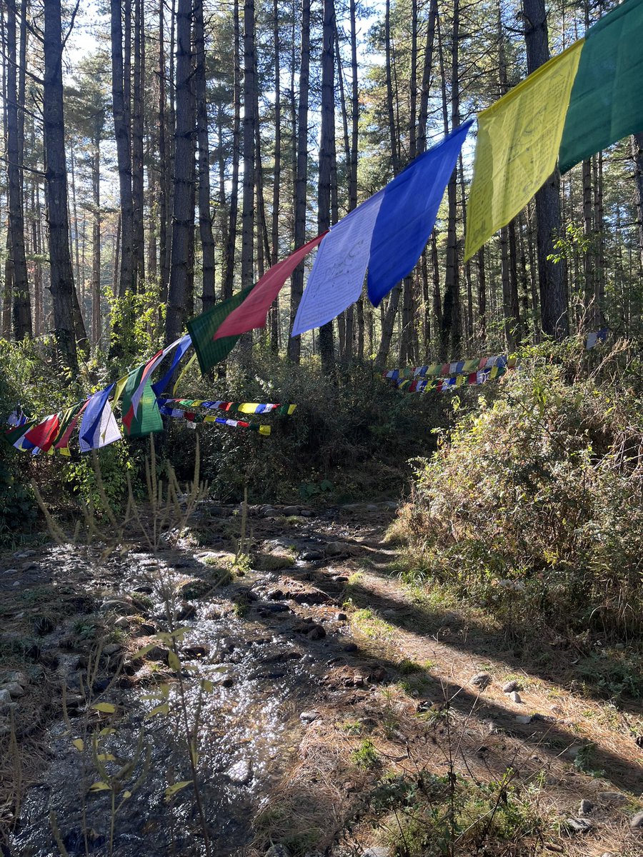 bhutan_clean's tweet photo. 29 November 2025: Dechenphu Lhakhang - My Zero waste weekend plaking colllected a bag full of plastic waste. Please Please take extra care of your cigarette butt, it is fire season. https://t.co/WZkY50pk4W