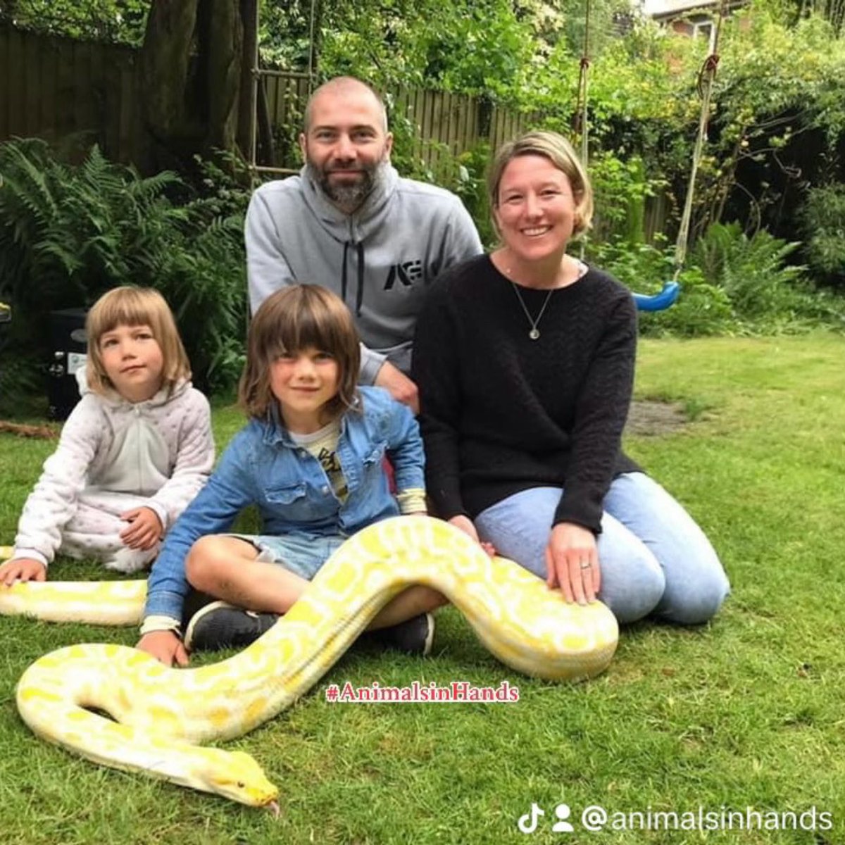 Captivating Animal Parties for children.

 #AnimalManUK  #animalbirthdayparty #animalsinhandsuk #animalmanwestmidlands #animalencounteruk  #birthdaypartyideas
#animalsinhandsuk  #wildscience  #exoticzoo  #zootoyou #animalencountersuk animalsinhands.com