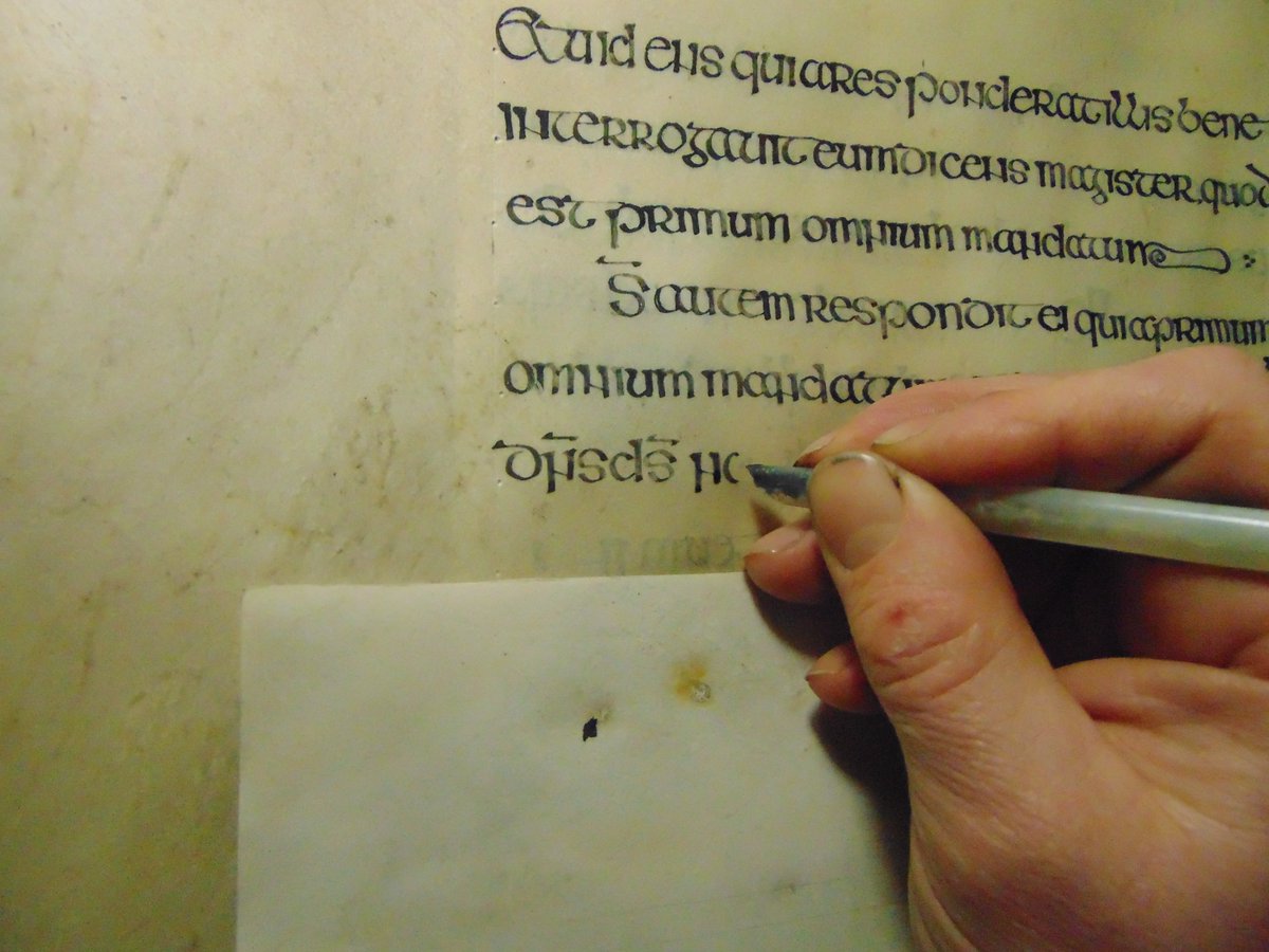 scribalstyles tweet media