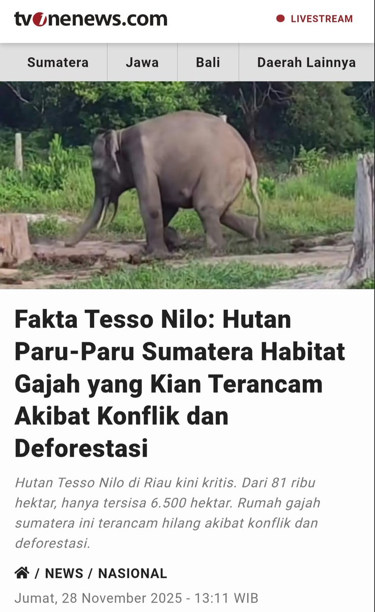 ARSIPAJA's tweet image. 