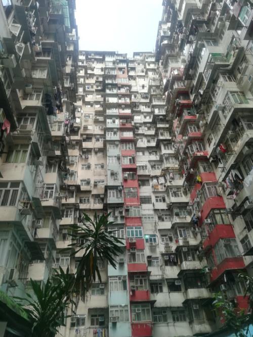 smartyrajesh513's tweet image. Hong Kong isn’t just a city — it’s a vertical ecosystem.  
Stand between two massive housing towers, look up, and you’re suddenly inside a man-made canyon.  
Glass, concrete, steel… rising like cliffs.  
#HongKong #Canyon #ConcreteJungle #ApartmentTour