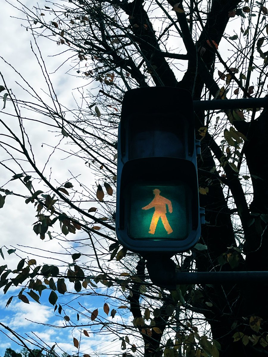 s2sakura08's tweet image. 自然に溶け込んでる信号機カワイイ