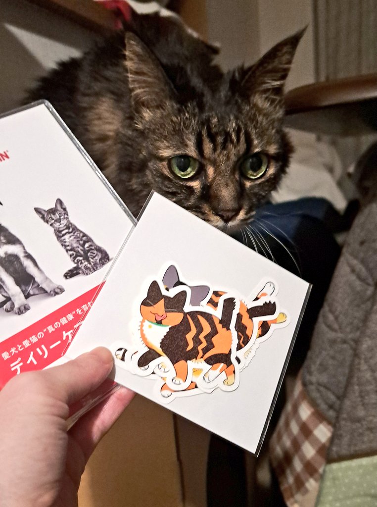 シェアありがとうございます✨ ぜひ、お好きな場所に貼ってお楽しみ