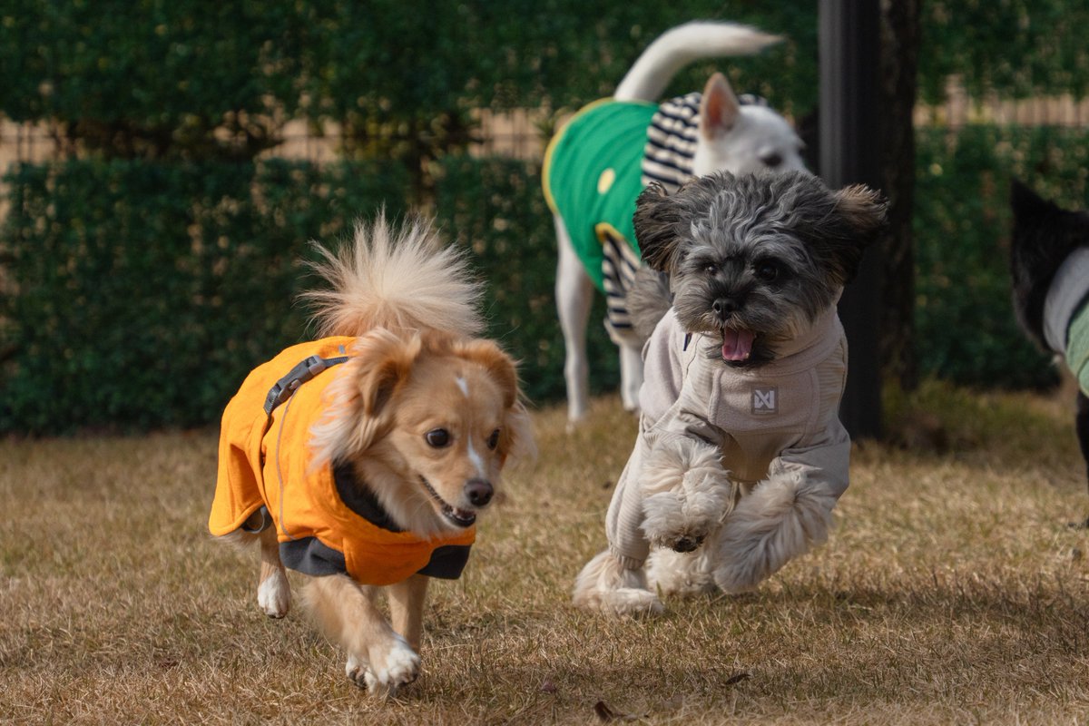 로니랑 글씨 짱친이야 👯‍♀️ 
<a href="/Mir_alfm/">🕯로니와 로언</a> <a href="/RAD_univ/">링고 아니 대박이 그리고 글씨와 사비</a>