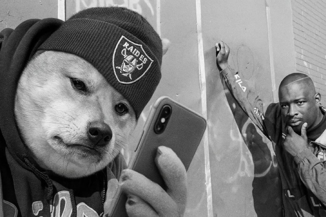 Every cycle has a token people underestimate until they can’t anymore

$Selfie slipped under the radar while others chased whatever was trending that week

Now the same community that stayed for two years is starting to drag the spotlight back