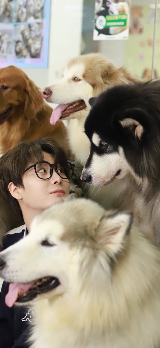 jia_gzhen_you's tweet image. 犬カフェ店長のグオジェンかわいすぎるㅠㅠ

@一杯葡萄芋圆多多
weibo.com/6686085801/523…

#郭震 #궈쩐 #guozhen #グオジェン #BOYS2PLANET  #보이즈2플래닛 #ボイプラ2