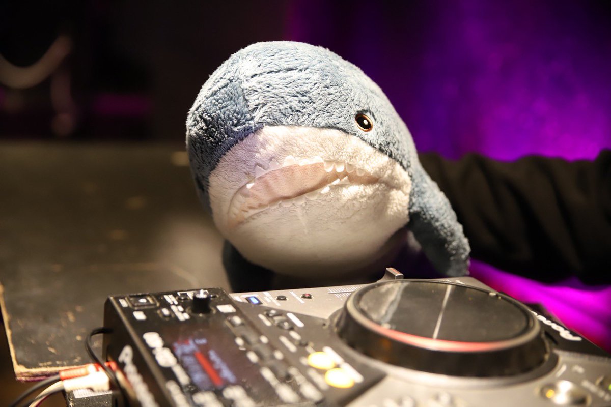 もっちゃん (@mtmtmtim99) / Posts / X