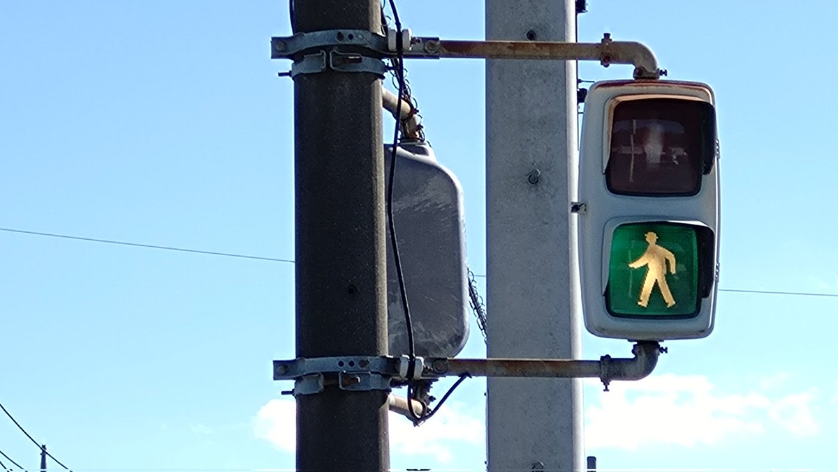 歩行者信号は4種類あります。