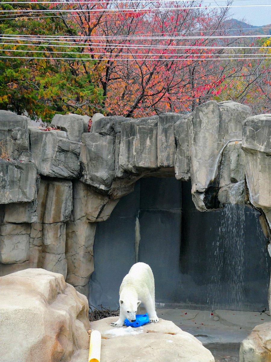 さこθ (@sako4ta) / Posts / X