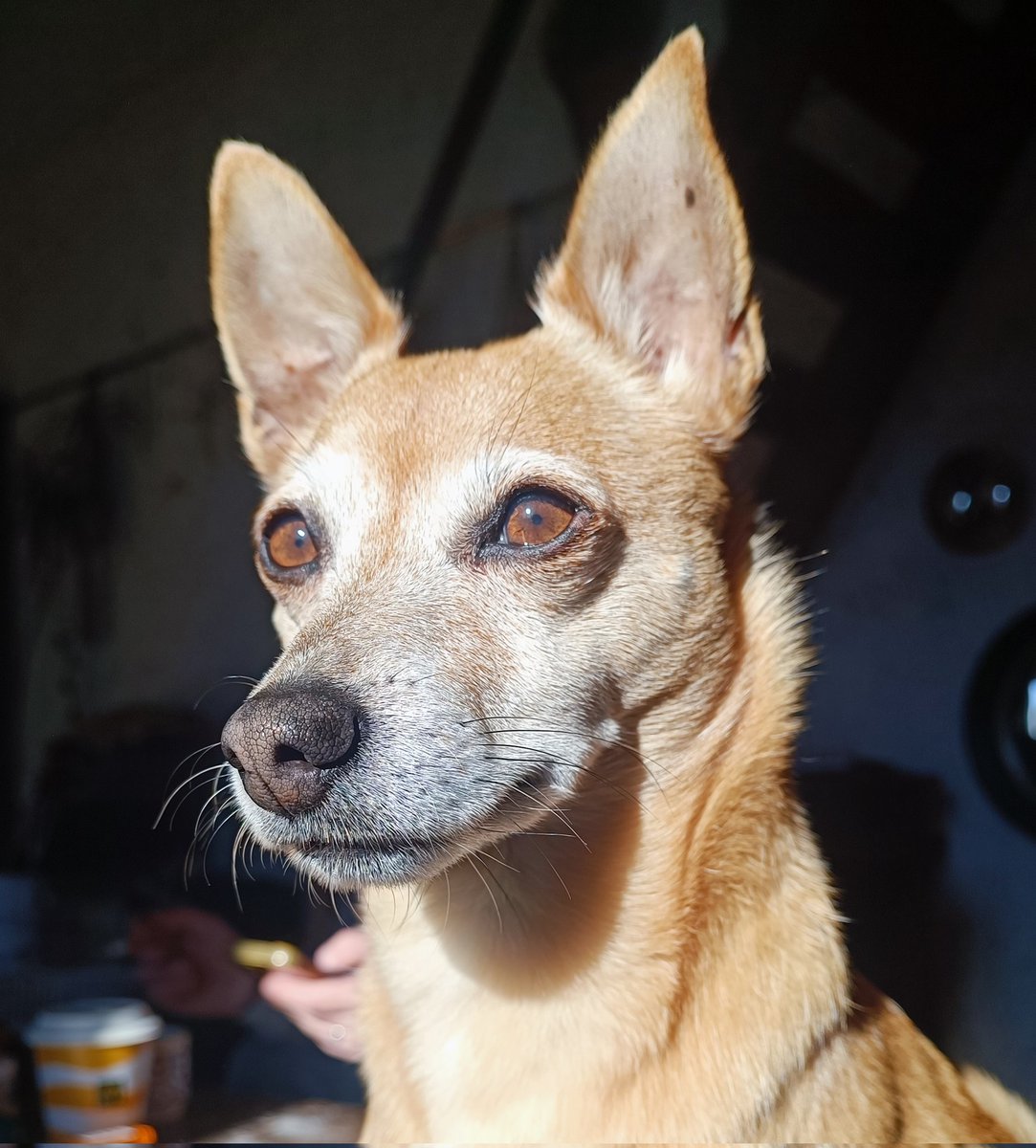 Grotakrout tweet media