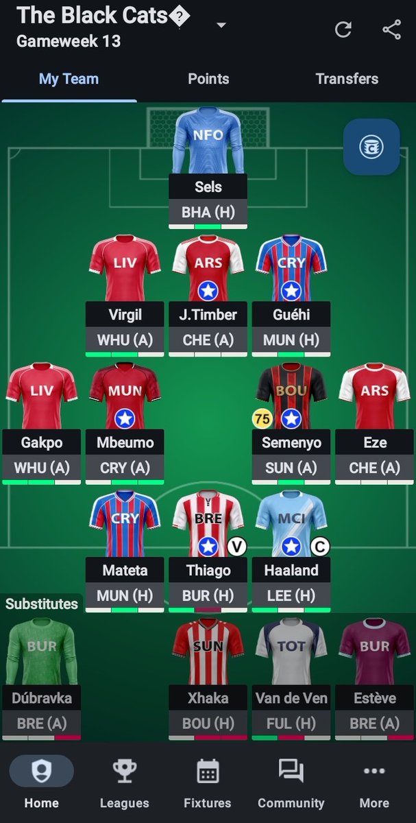 GW 13 🔒 
1FT
Joan Pedro ♻️thiago in
Tc on Halaand 
GOODLUCK 😊