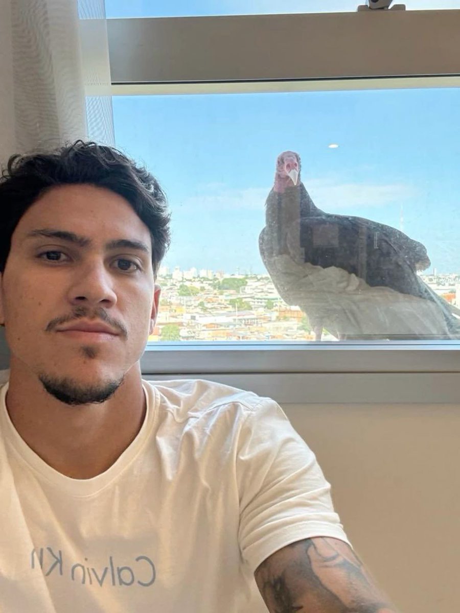 fla_infos's tweet image. BOM DIA, NAÇÃO!

Hoje é guerra, apenas. 

Compartilha o Urubu da sorte