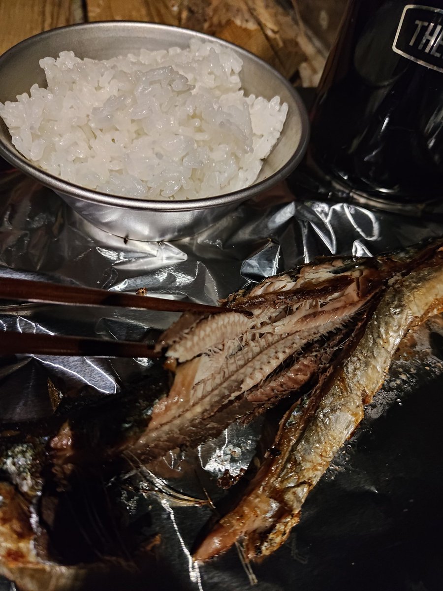キャンプで焼き魚は簡単だしいいかもしれん