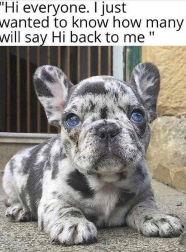 PolaskiC51004's tweet image. A bike ride in spring blossoms, her hair flowing, beauty shining like flowers blooming around. #SpringVibes 🌸
