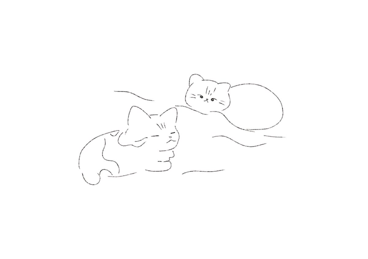 npi__iii's tweet photo. 🐈 https://t.co/2FfWa7vttr