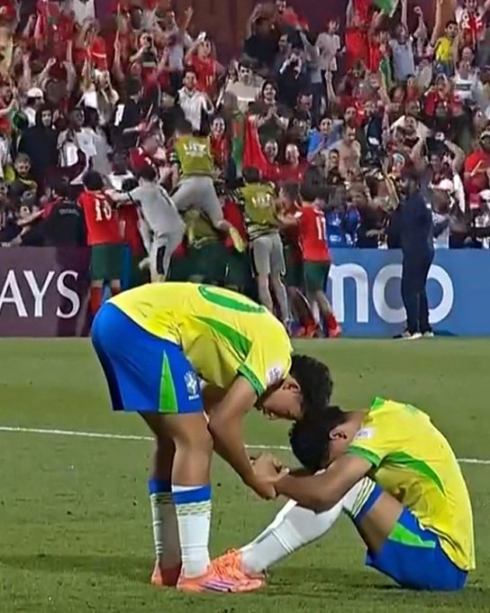 ricardo rebello tweet media