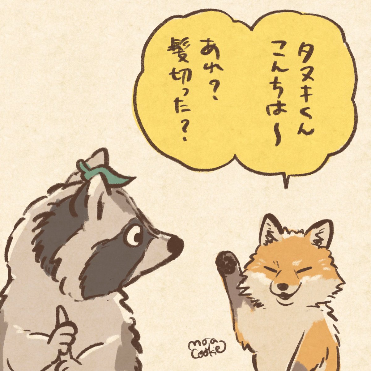 アライグマに化けてみたタヌキ。 