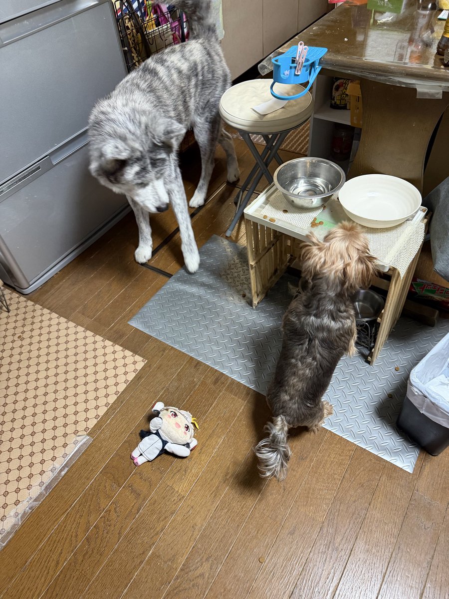 あんころもち (@okaapon007) / Posts / X